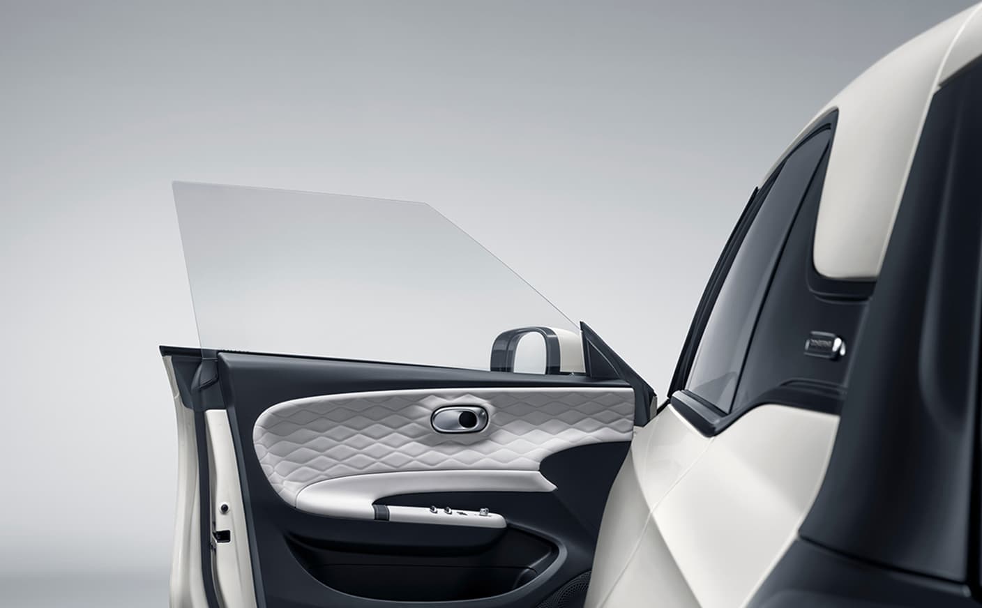 A distinctive frameless door