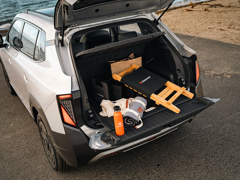 Dongfeng VIGO flexible luggage and interior space